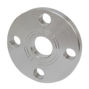 stainless steel flat face flanges