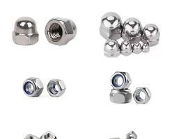 stainless steel nuts